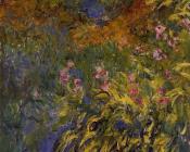 克劳德 莫奈 : Irises